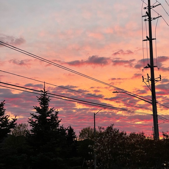 Meet your Posher, Melissa - Picture 1 of 1